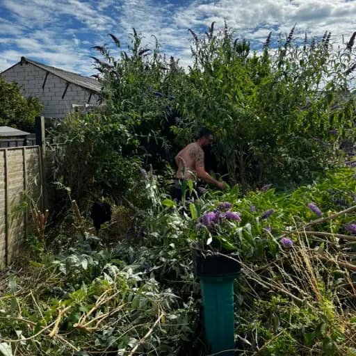 Garden Clearance