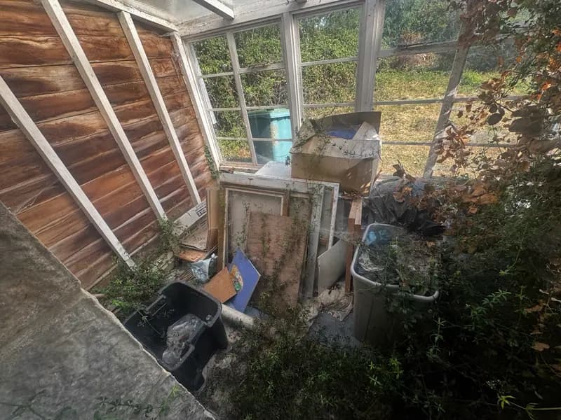 Shed Clearance
